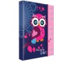 Desky na sešity P + P Karton A4 Owl