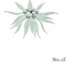 NOV 2016 LEAVES PL6 TRASPARENTE Ideal Lux 112275