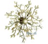 SPRING PL5 AMBRA Ideal Lux 114606