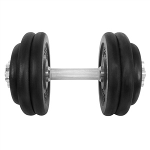 Činka LIFEFIT nakládací jednoruční 27 kg, 6x kotouč - lakované kotouče - kov/černá