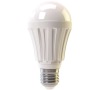 LED žárovka Premium A60 10W E27 denní bílá