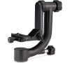 Benro GH2C Carbon