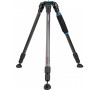 Benro C2770TN