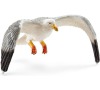 Zvířátko - racek SCHLEICH