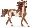 Zvířátko - hřebec Pinto SCHLEICH