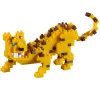 Leopard BRIXIES