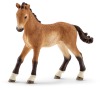 Zvířátko - hříbě jdoucí Tenesské SCHLEICH