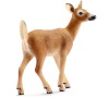 Zvířátko - laň běloocasá SCHLEICH