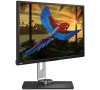 32" LED BenQ PV3200PT-UHD,IPS,DP,rep,has,Rec709 (9H.LEFLB.QBE)