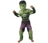 Avengers: Assemble - Hulk Classic - vel. L