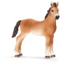 Zvířátko - kůň tenesský jednoročák SCHLEICH