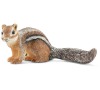 Zvířátko - čipmank SCHLEICH