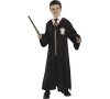 Karnevalový kostým ADC Blackfire Harry Potter