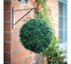 LED solární buxus Sharks