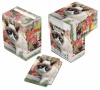UP Art: Grumpy Cat Flowers - krabička na karty