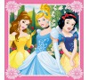 Disney Princezny 3x49d
