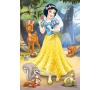 Princezny minipuzzle 54d - dis.48ks