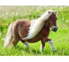 Malý pony 100d XXL