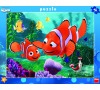 WD Nemo 40D