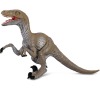 Velociraptor