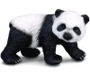 Panda velká - mládě