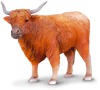 Highland kráva