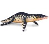 Liopleurodon