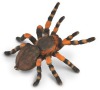 Tarantule