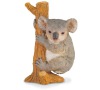 Koala na stromě
