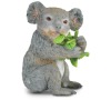 Koala s eukalyptem