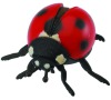 Beruška
