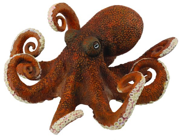 COLLECTA Chobotnice