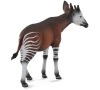Okapi