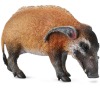 Štětkoun africký