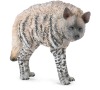 Hyena žíhaná