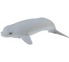 Beluga