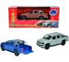 Auto Amarok, 3 druhy