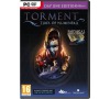PC CD - Torment: Tides of Numenera
