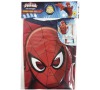 Party set - Hulk, Ironman, Capitan America, Spiderman