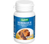 Roboran H pro psy barevné 100 tbl