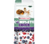 Versele-Laga Complete Crock pro hlodavce Berry 50g