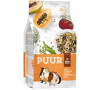 PUUR guinea pig - morče 2,5 kg
