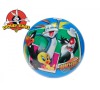 Míč 23cm Looney Tunes v síťce