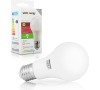 WE LED žárovka SMD2835 A60 E27 5.5W studená bílá