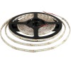 WE LED páska 5m SMD35 60ks/4.8W/m 10mm studená ex
