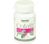 Colafit Single 50 kostiček