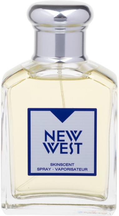 Recenze Aramis New West 100 Ml Toaletni Voda Hodnoceni Onlineshop Cz