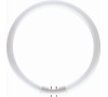 MASTER TL5 Circular  22 W / 827 Massive 8711500642196