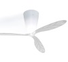 D28/2 Photoengraved blades set trans Massive 1D280P200000