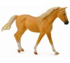 Palomino hřebec